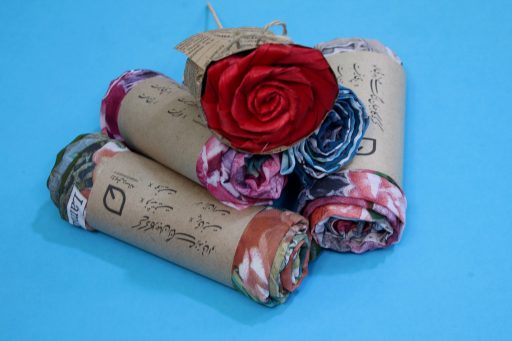 عیدانه‌ای برای بانوان رویشی