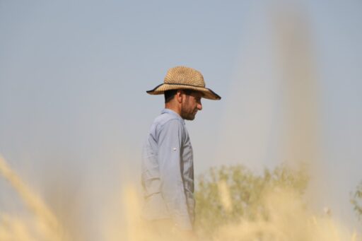 فیلم کوتاه« گندم» آماده نمایش شد