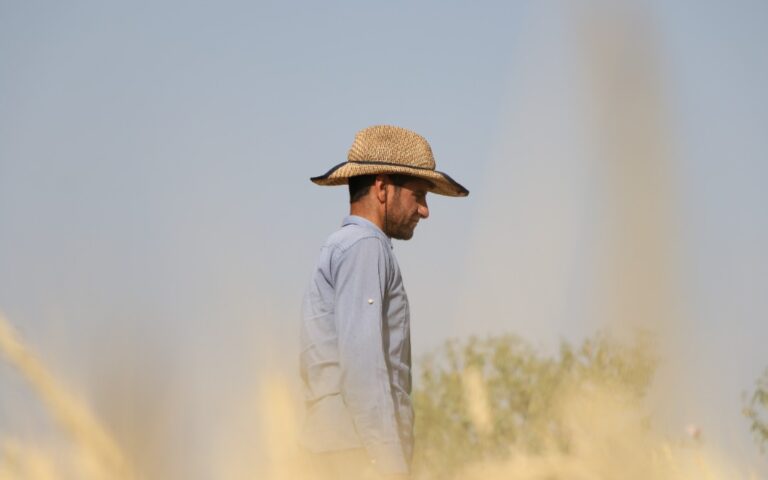 فیلم کوتاه« گندم» آماده نمایش شد